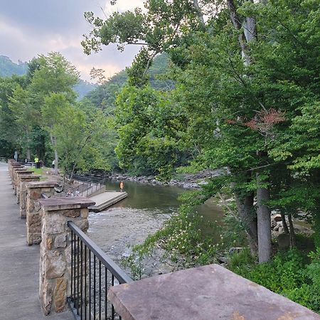 Bear Necessities, Luxury 5Bd Mtn Views, Hot Tub, Many Bear Sightings Villa Gatlinburg Dış mekan fotoğraf