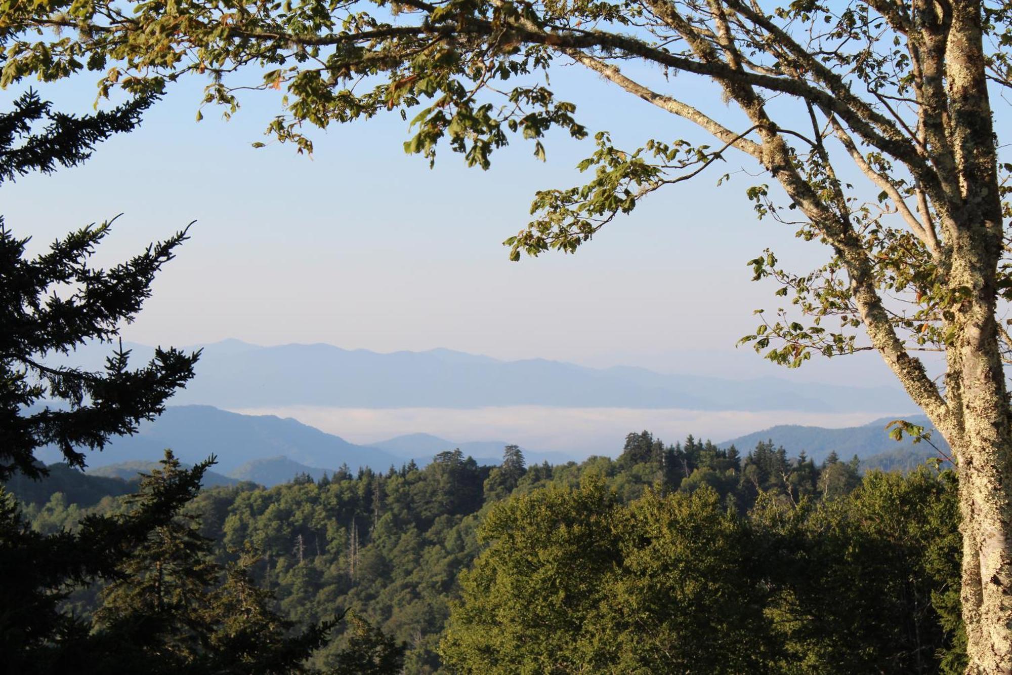 Bear Necessities, Luxury 5Bd Mtn Views, Hot Tub, Many Bear Sightings Villa Gatlinburg Dış mekan fotoğraf