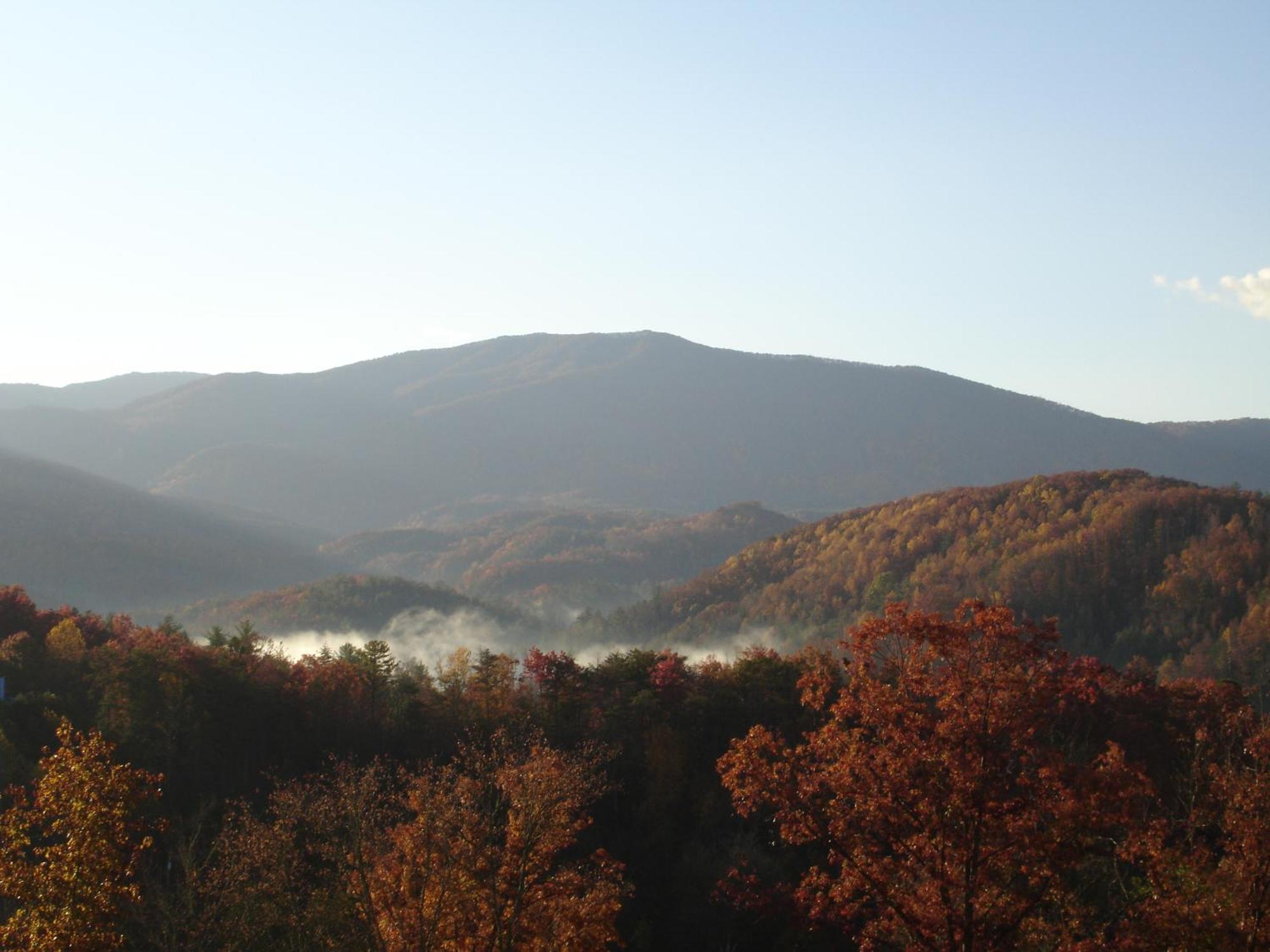 Bear Necessities, Luxury 5Bd Mtn Views, Hot Tub, Many Bear Sightings Villa Gatlinburg Dış mekan fotoğraf