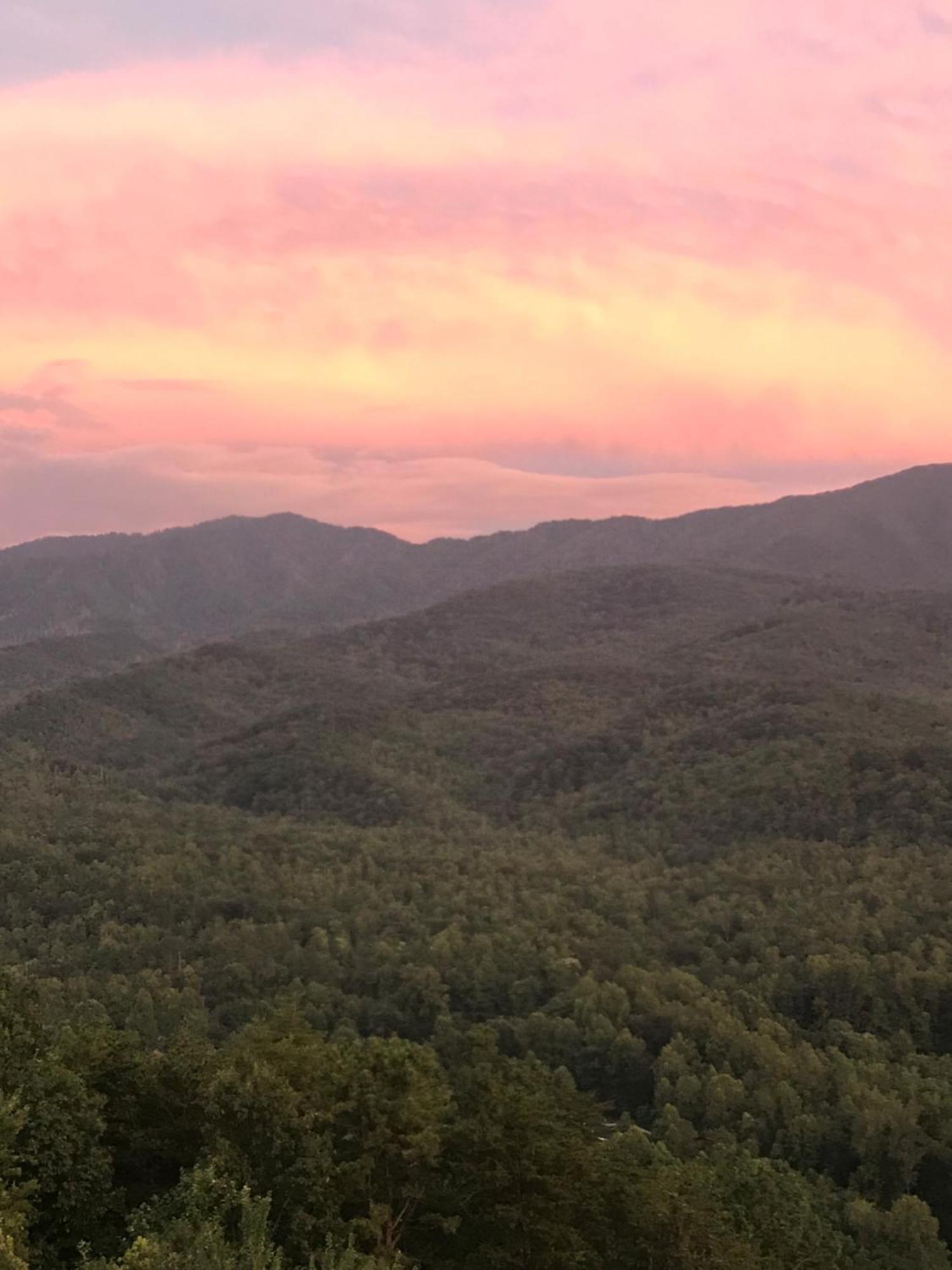 Bear Necessities, Luxury 5Bd Mtn Views, Hot Tub, Many Bear Sightings Villa Gatlinburg Dış mekan fotoğraf