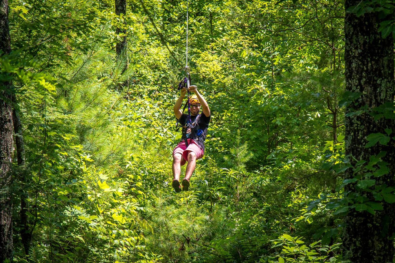 Bear Necessities, Luxury 5Bd Mtn Views, Hot Tub, Many Bear Sightings Villa Gatlinburg Dış mekan fotoğraf