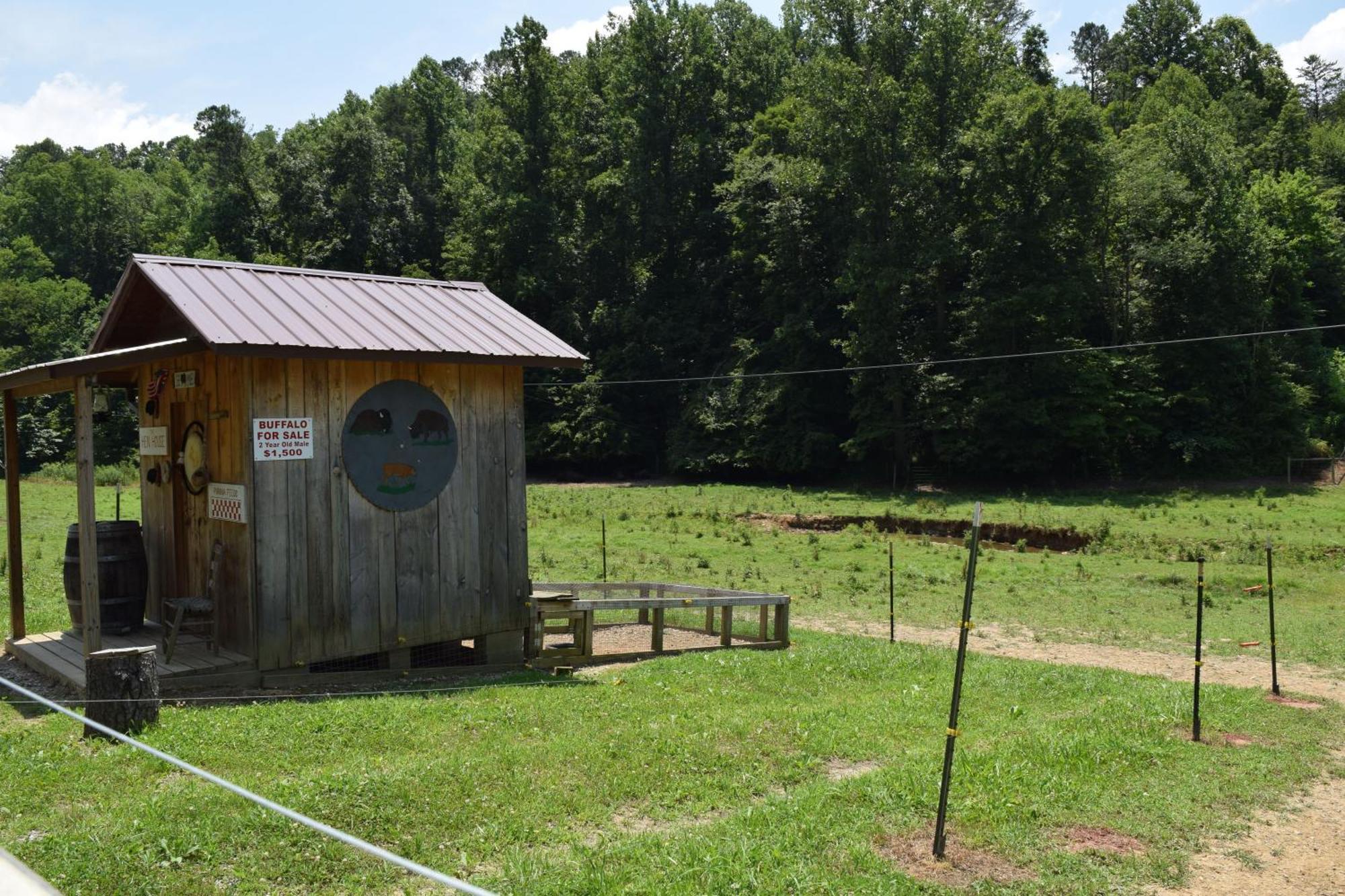 Bear Necessities, Luxury 5Bd Mtn Views, Hot Tub, Many Bear Sightings Villa Gatlinburg Dış mekan fotoğraf