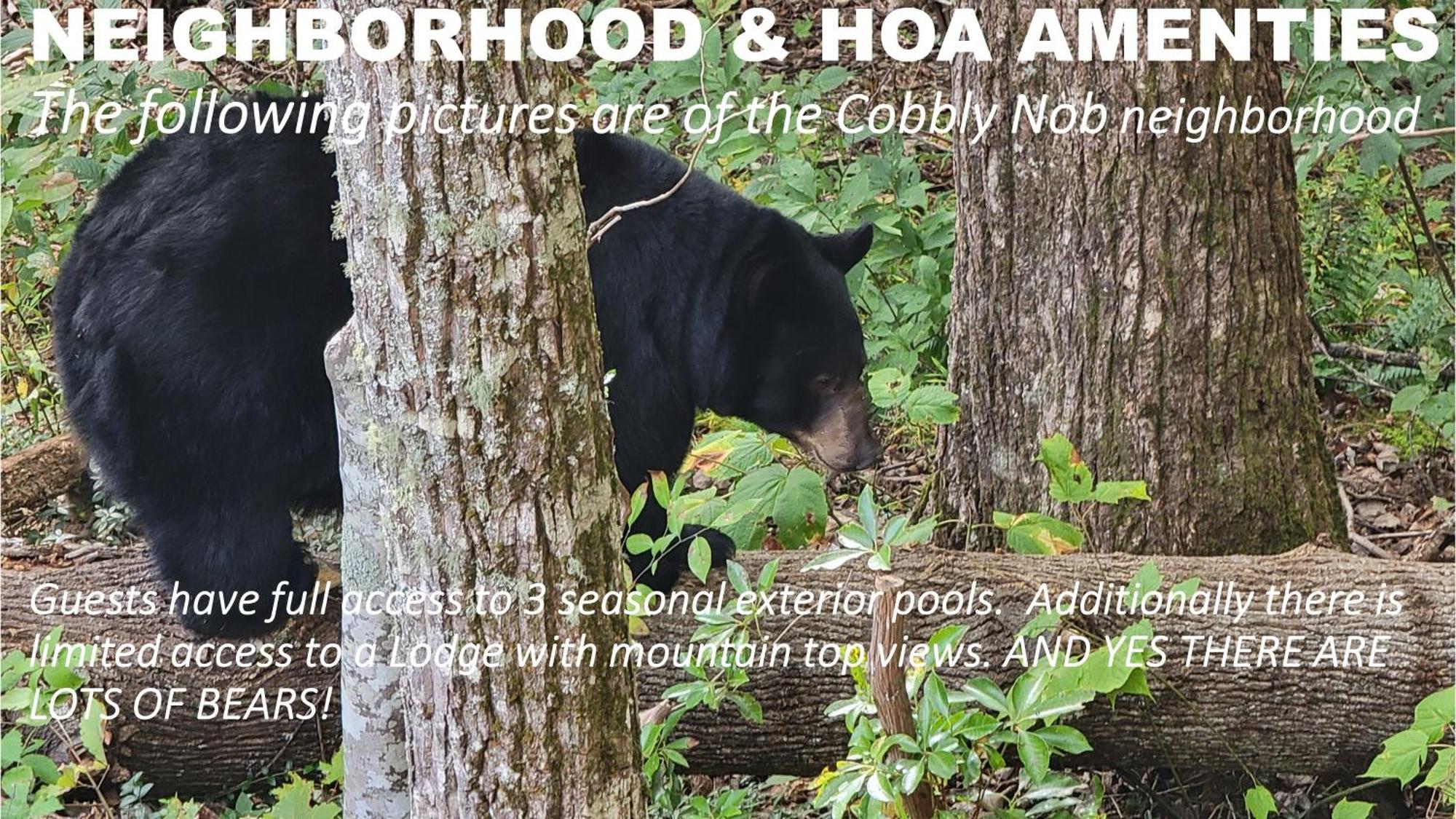 Bear Necessities, Luxury 5Bd Mtn Views, Hot Tub, Many Bear Sightings Villa Gatlinburg Dış mekan fotoğraf